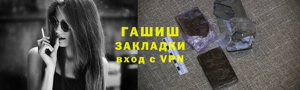 СК Алексин