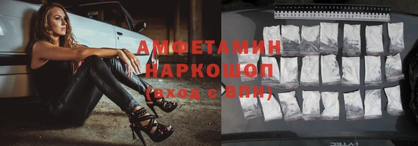 СК Алексин