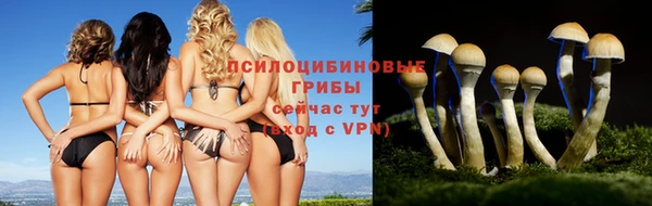 ECSTASY Валуйки