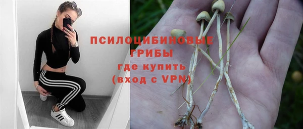 СК Алексин