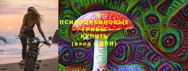 спиды Алексеевка