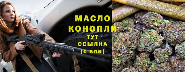 СК Алексин