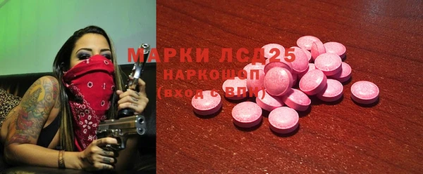 СК Алексин