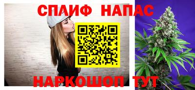 гашик Гусев