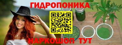 гашик Гусев