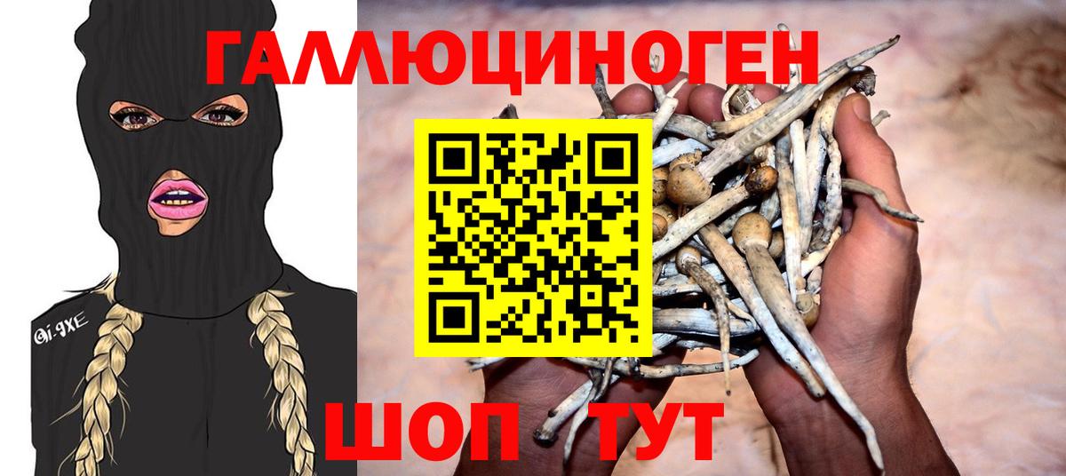 Псилоцибиновые грибы MAGIC MUSHROOMS  Вход с VPN  Гурьевск 