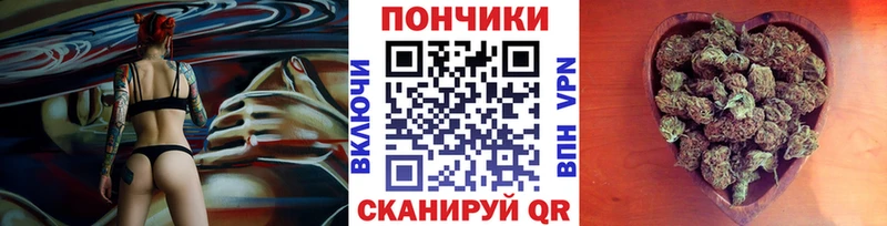 Шишки марихуана планчик  Гурьевск 